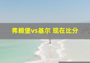 弗赖堡vs基尔 现在比分